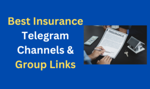 Top Insurance Telegram Channels in the USA